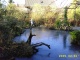 Der Gartenteich im Winter strahlt Ruhe aus.