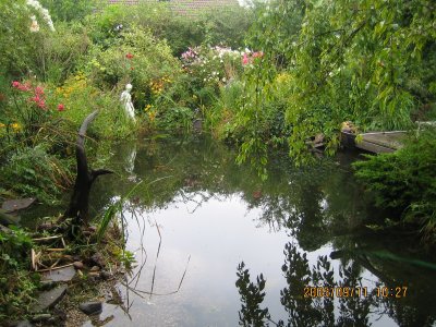 Ein schner Teich sollte Bestandteil eines Erholungsgartens sein.
Er sorgt fr ein angenehmes Klima im Garten, bietet vielen ntzlichen Kleintieren und Fischen einen Lebensraum und hat einen hohen Freizeitwert.