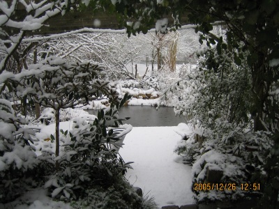 Der Garten ist tief verschneit. Immergrne Gehlze und abgestorbene Stauden und Grser machen den Garten auch im Winter attraktiv.