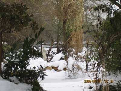 Die kleine Skulptur ist auch im Winter ein Blickfang. Die abgestorbenen Halme des Chinaschilfs setzen zustzliche Akzente.